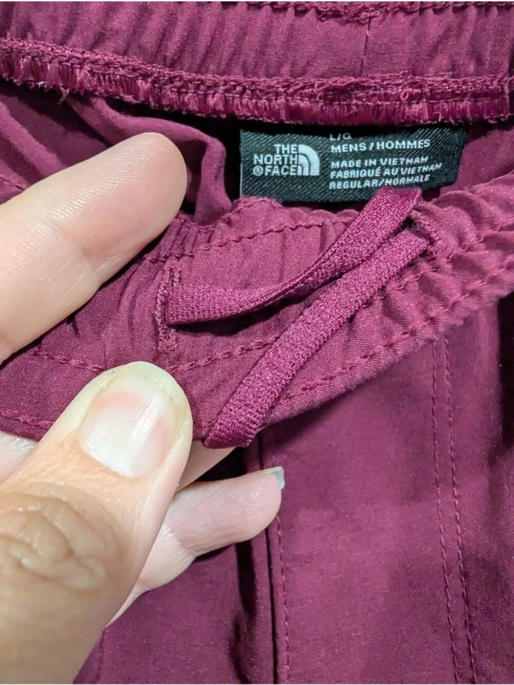 The North Face Wander 2.0 Joggers Men's Sz L Flash Dry Tech Deep Purple Outdoor